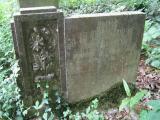 image of grave number 150656